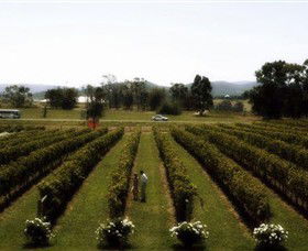 Rochford Wines - Goulburn Accommodation 0