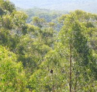 Bunyip State Park - Goulburn Accommodation