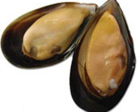 Sea Bounty - Goulburn Accommodation 0