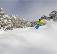 Mt Buller and Mt Stirling Alpine Resort - Goulburn Accommodation