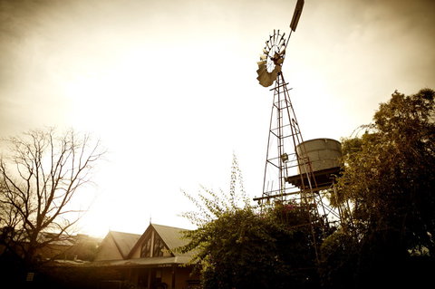 Brown Brothers Milawa Vineyard - Goulburn Accommodation 1