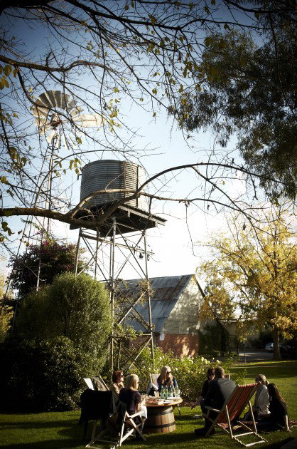 Brown Brothers Milawa Vineyard - Goulburn Accommodation 5