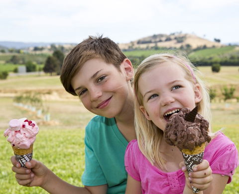 Yarra Valley Chocolaterie & Ice Creamery - Goulburn Accommodation 6