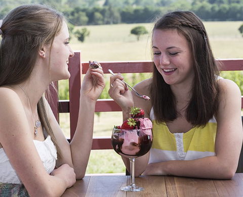 Yarra Valley Chocolaterie & Ice Creamery - Goulburn Accommodation 8