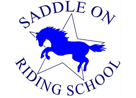 Saddle On Riding School - Goulburn Accommodation 0