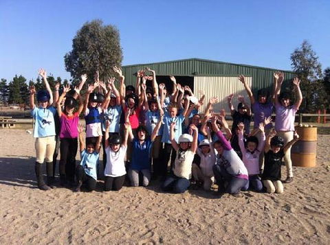 Saddle On Riding School - Goulburn Accommodation 2