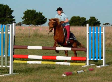 Saddle On Riding School - Goulburn Accommodation 5
