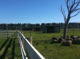 Saddle On Riding School - Goulburn Accommodation 6