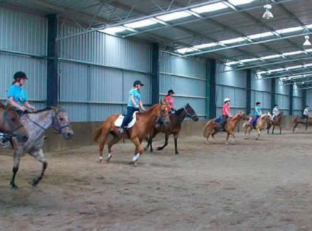 Saddle On Riding School - Goulburn Accommodation 7