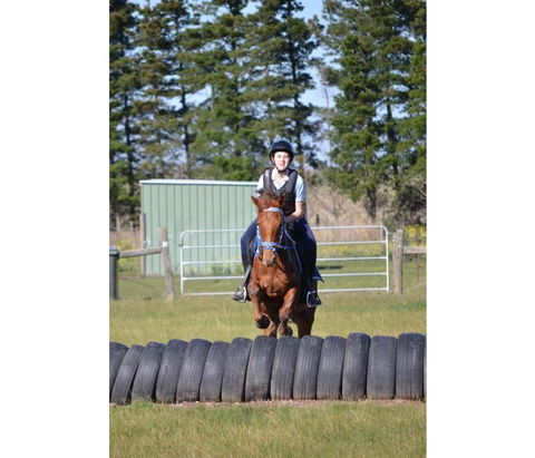 Saddle On Riding School - Goulburn Accommodation 9