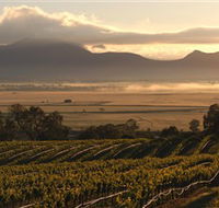Montara Wines - Goulburn Accommodation