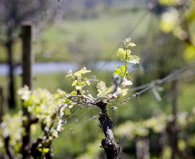 Coldstream Hills - Goulburn Accommodation 0