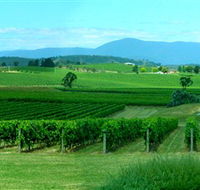 Acacia Ridge Vineyard - Goulburn Accommodation
