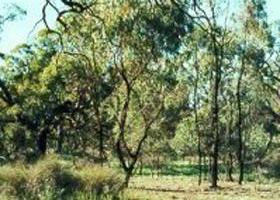 Myall VIC Goulburn Accommodation