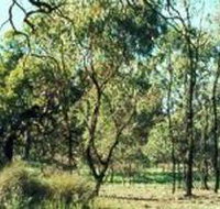 Leaghur State Park - Goulburn Accommodation