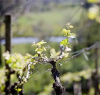 Lindemans Karadoc Winery - Goulburn Accommodation