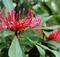 Alfred National Park - Goulburn Accommodation