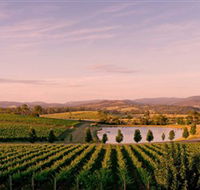 Oakridge Wines - Goulburn Accommodation