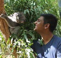 Healesville Sanctuary - Goulburn Accommodation