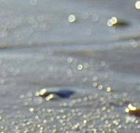 Cape Liptrap Coastal Park - Goulburn Accommodation