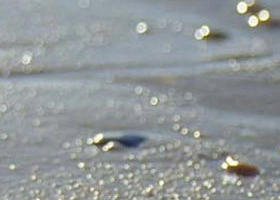 Cape Liptrap Coastal Park - Goulburn Accommodation 0