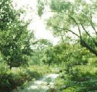 Holey Plains State Park - Goulburn Accommodation