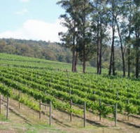 Piedmont Vineyard - Goulburn Accommodation