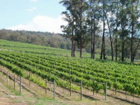 Piedmont Vineyard - Goulburn Accommodation 0