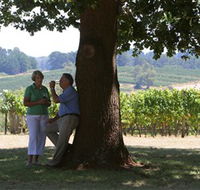Five Oaks Vineyard - Goulburn Accommodation