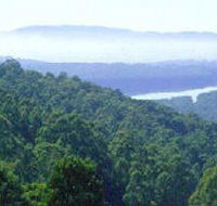 Kalorama Park - Goulburn Accommodation