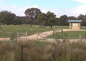 Dandenong Police Paddocks Reserve - Goulburn Accommodation 0