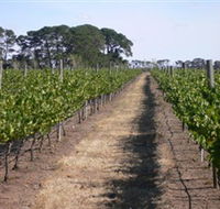 Mount Beckworth Wines - Goulburn Accommodation