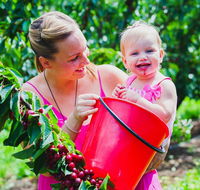 Cherryhill Orchards - Goulburn Accommodation