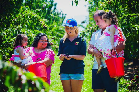 Cherryhill Orchards - Goulburn Accommodation 1
