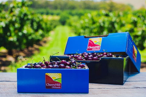 Cherryhill Orchards - Goulburn Accommodation 3