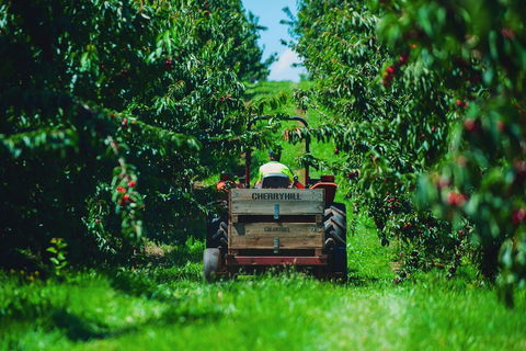 Cherryhill Orchards - Goulburn Accommodation 7