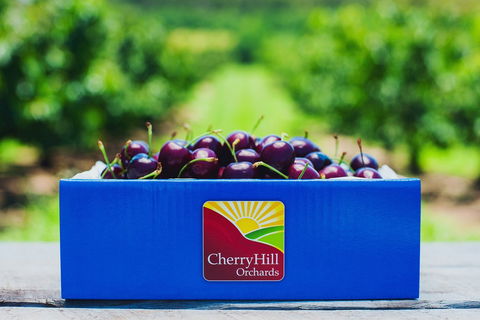 Cherryhill Orchards - Goulburn Accommodation 8