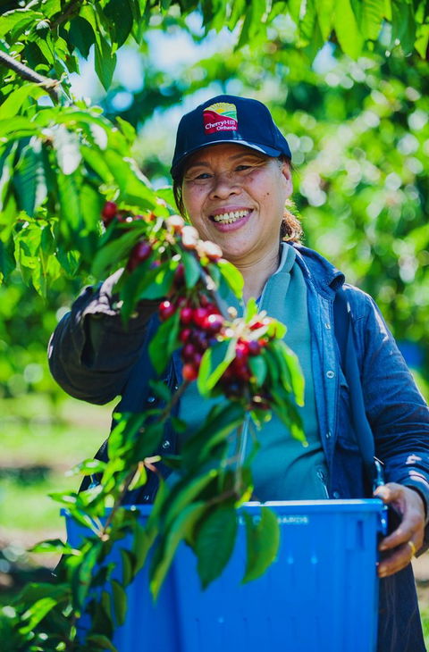 Cherryhill Orchards - Goulburn Accommodation 11