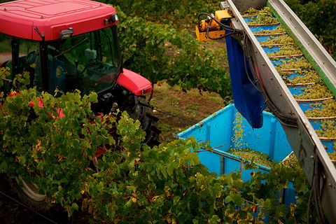 GREENSTONE VINEYARDS - Goulburn Accommodation 3