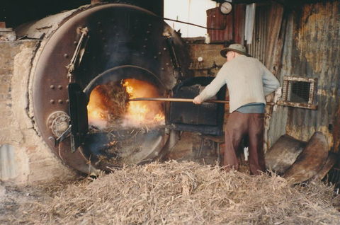 Eucalyptus Distillery Museum - Goulburn Accommodation 2