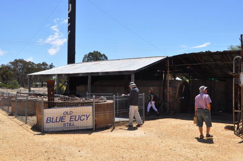 Eucalyptus Distillery Museum - Goulburn Accommodation 3