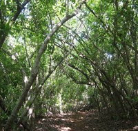 Eucalypt Trail - Goulburn Accommodation