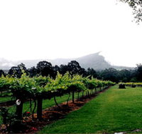 Cambewarra Estate Wines - Goulburn Accommodation