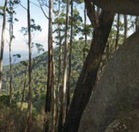 Gulaga National Park - Goulburn Accommodation