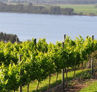 Two Figs Winery - Goulburn Accommodation