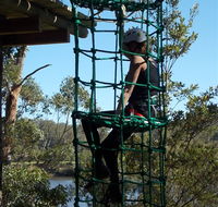 Trees Adventure Shoalhaven - Goulburn Accommodation