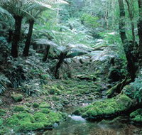Deua National Park - Goulburn Accommodation
