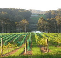 Tilba Valley Wines - Goulburn Accommodation