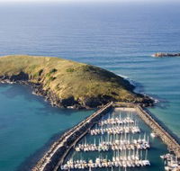 Muttonbird Island Nature Reserve - Goulburn Accommodation