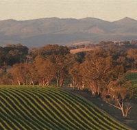 Angullong Wines - Goulburn Accommodation